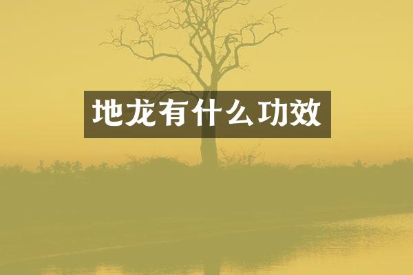 地龙有什么功效