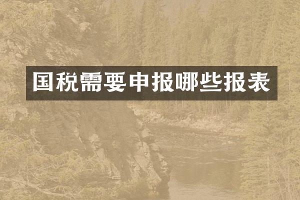 国税需要申报哪些报表