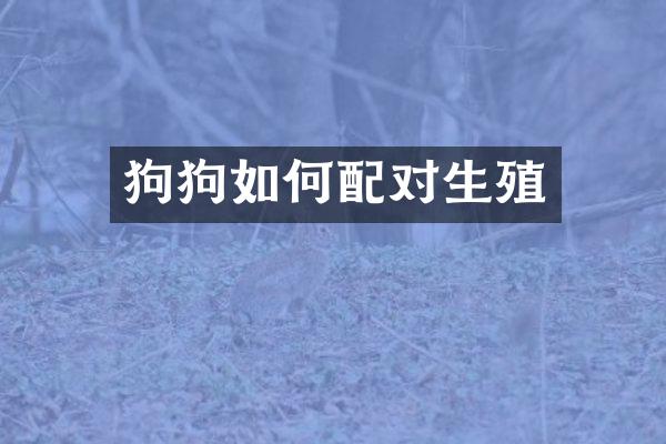狗狗如何配对生殖