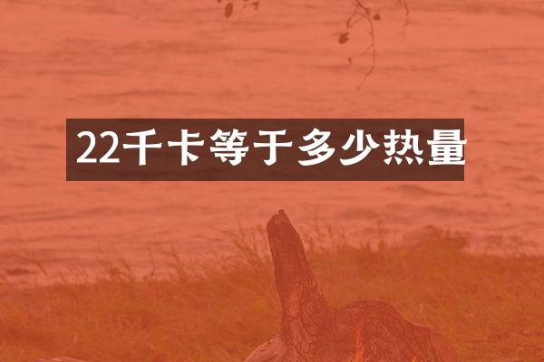 22千卡等于多少热量