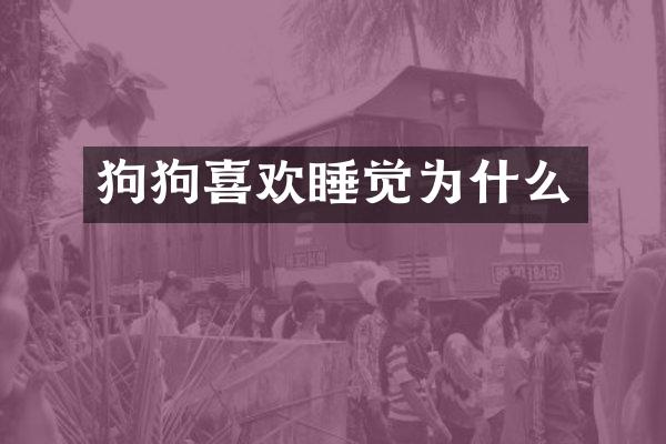 狗狗喜欢睡觉为什么