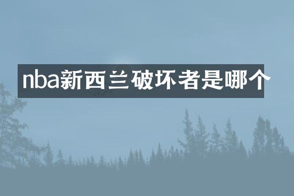 nba新西兰破坏者是哪个
