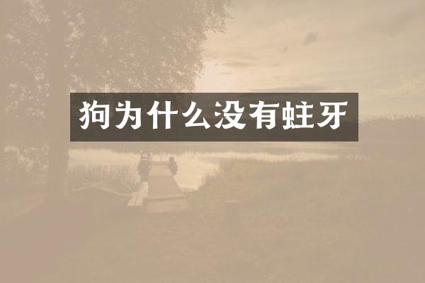 狗为什么没有蛀牙
