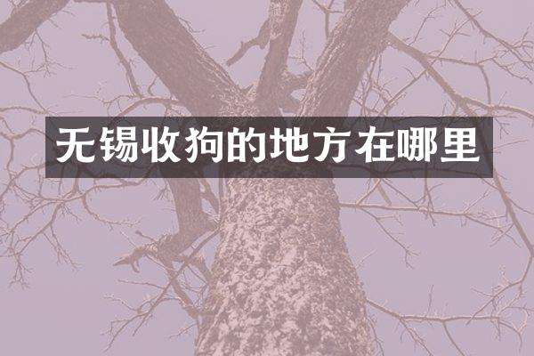 无锡收狗的地方在哪里