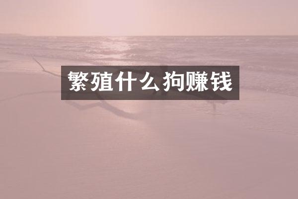 繁殖什么狗赚钱