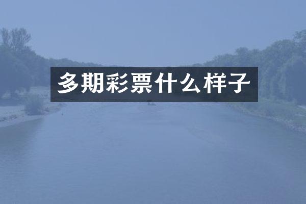 多期彩票什么样子