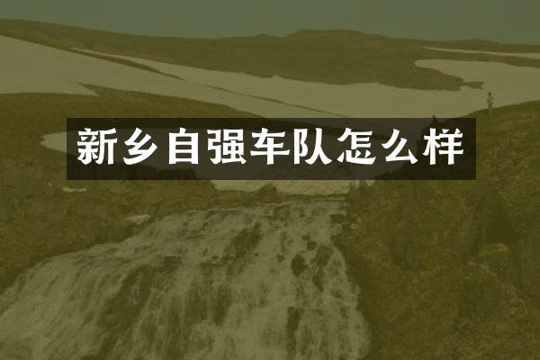 新乡自强车队怎么样