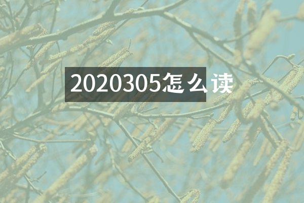 2020305怎么读