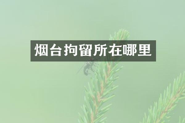 烟台拘留所在哪里