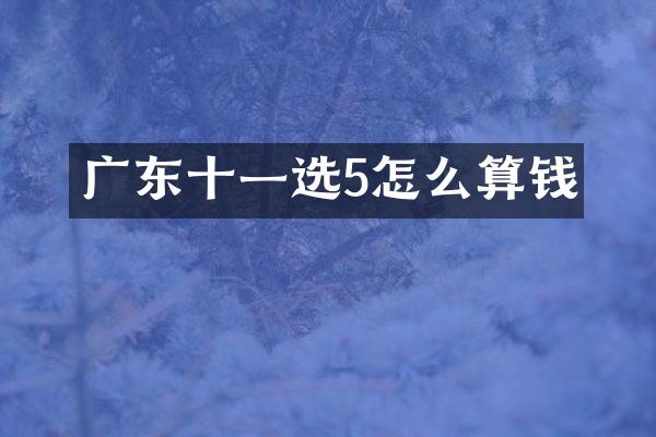 广东十一选5怎么算钱