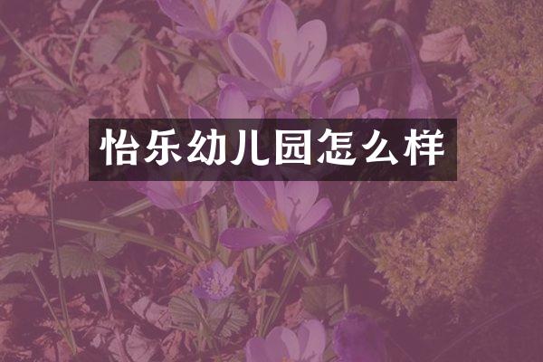 怡乐幼儿园怎么样