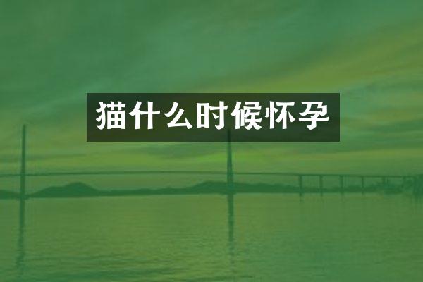 猫什么时候怀孕