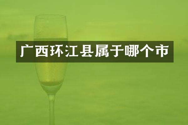 广西环江县属于哪个市