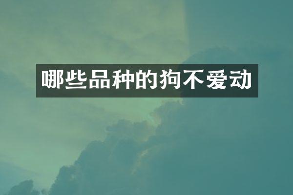 哪些品种的狗不爱动