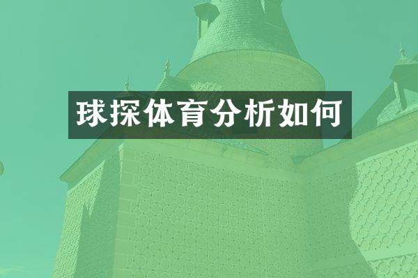 球探体育分析如何