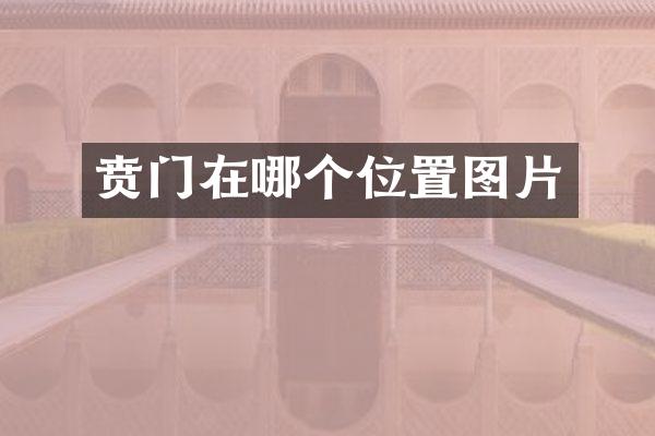 贲门在哪个位置图片