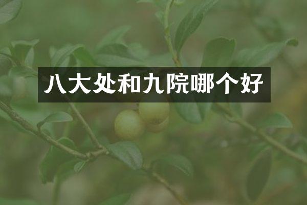 八大处和九院哪个好