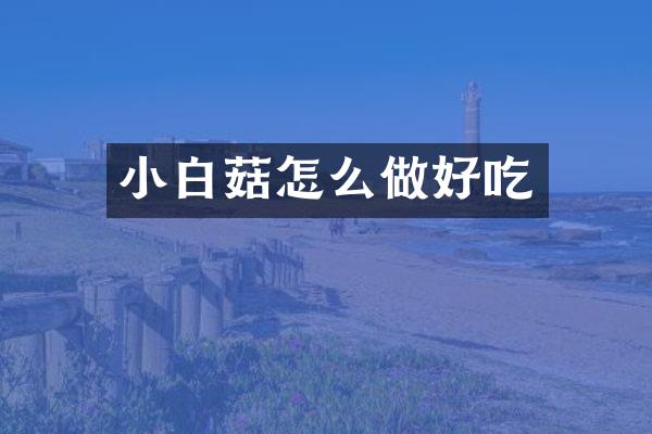 小白菇怎么做好吃