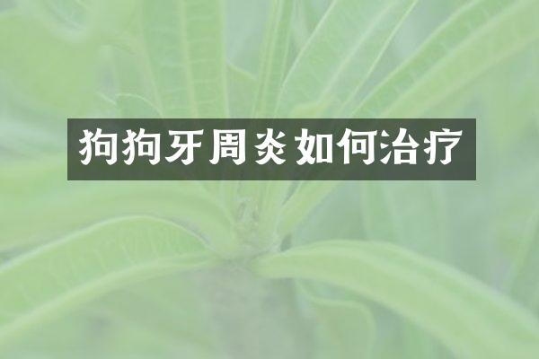 狗狗牙周炎如何治疗