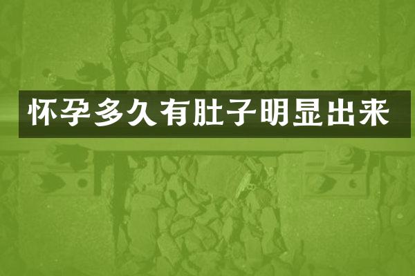 怀孕多久有肚子明显出来