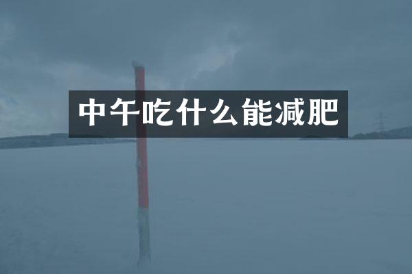 中午吃什么能减肥