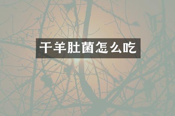 干羊肚菌怎么吃