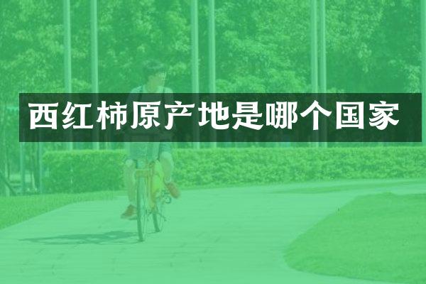 西红柿原产地是哪个国家
