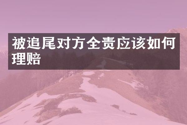 被追尾对方全责应该如何理赔