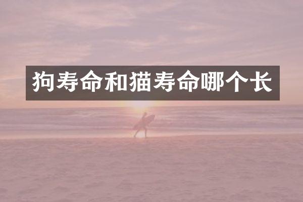 狗寿命和猫寿命哪个长