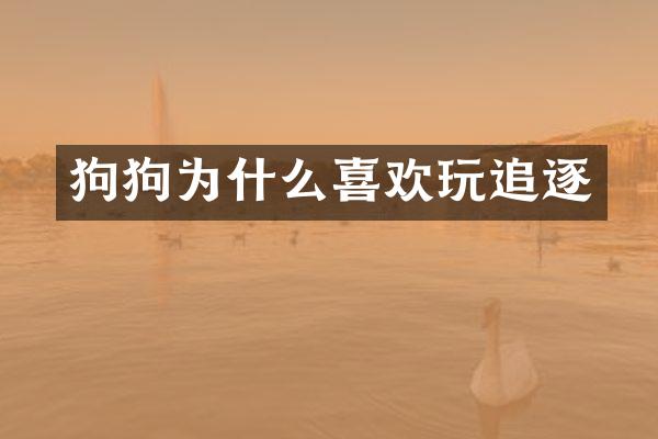狗狗为什么喜欢玩追逐