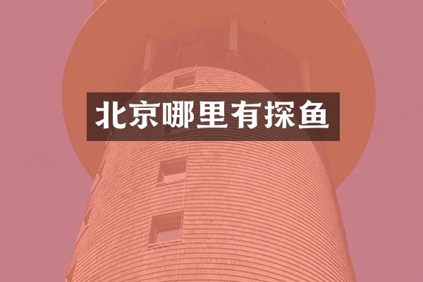 北京哪里有探鱼