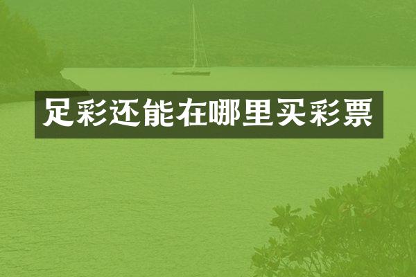 还能在哪里买彩票