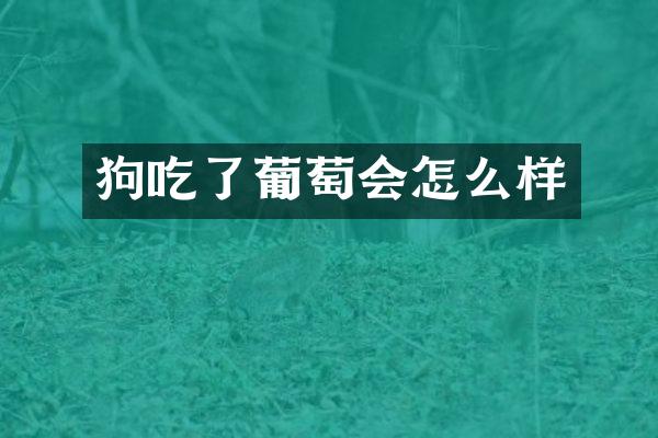 狗吃了葡萄会怎么样