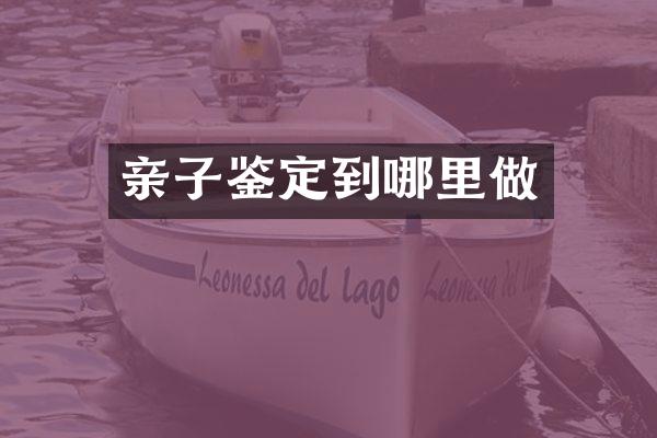 亲子鉴定到哪里做
