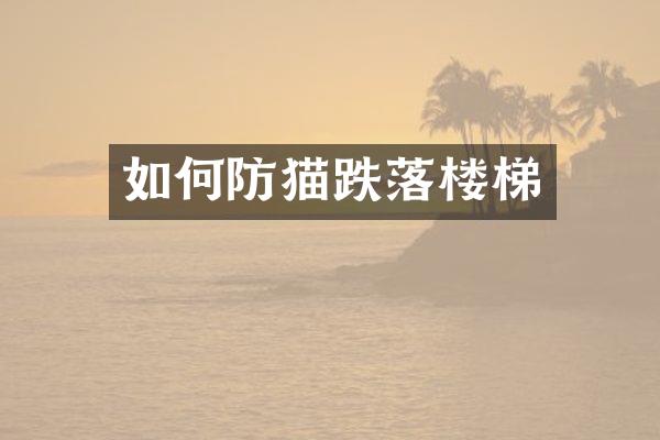 如何防猫跌落楼梯