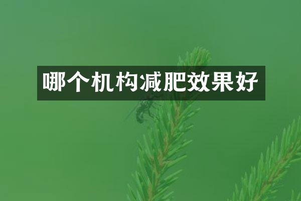 哪个机构减肥效果好
