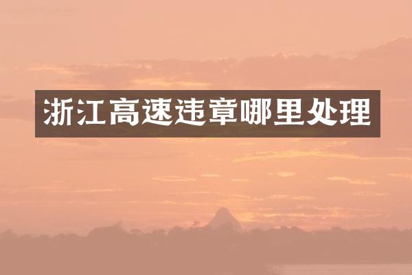 浙江高速违章哪里处理