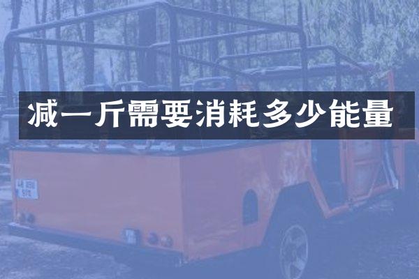 减一斤需要消耗多少能量