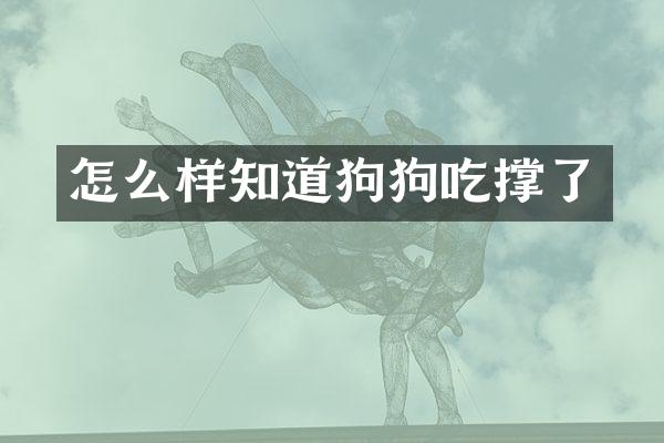 怎么样知道狗狗吃撑了