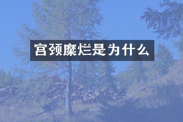 宫颈糜烂是为什么