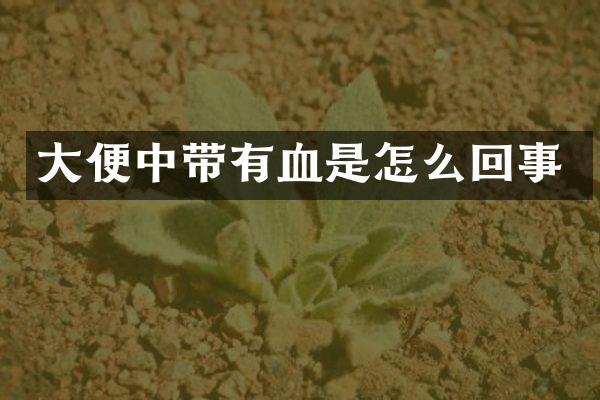 大便中带有血是怎么回事