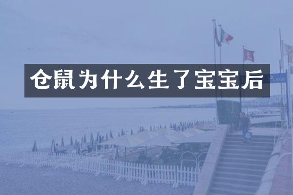 仓鼠为什么生了宝宝后