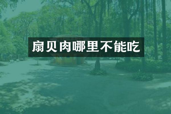 扇贝肉哪里不能吃