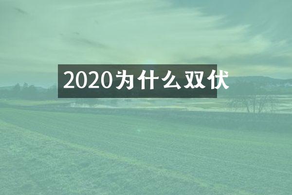 2020为什么双伏