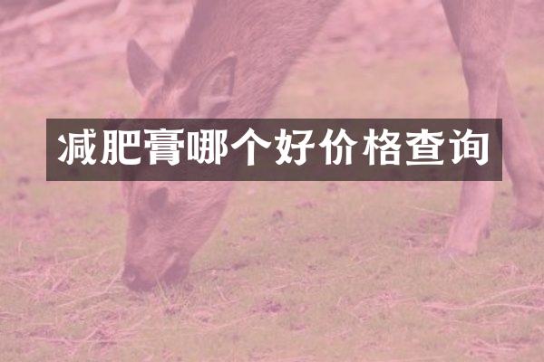 减肥膏哪个好价格查询