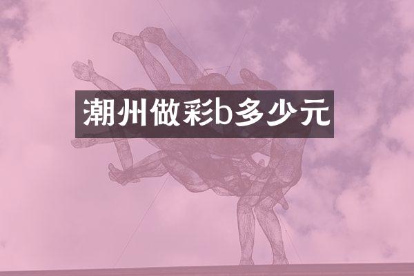 潮州做彩b多少元