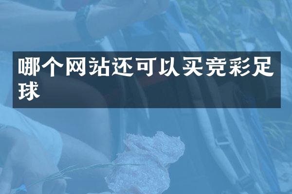 哪个网站还可以买竞彩足球