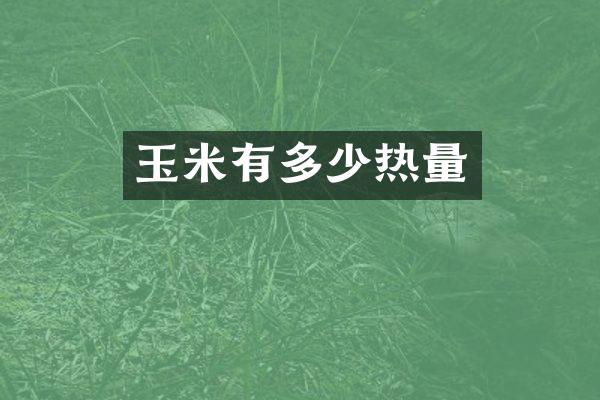玉米有多少热量