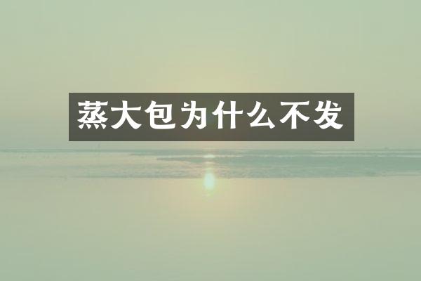蒸大包为什么不发