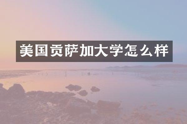 美国贡萨加大学怎么样